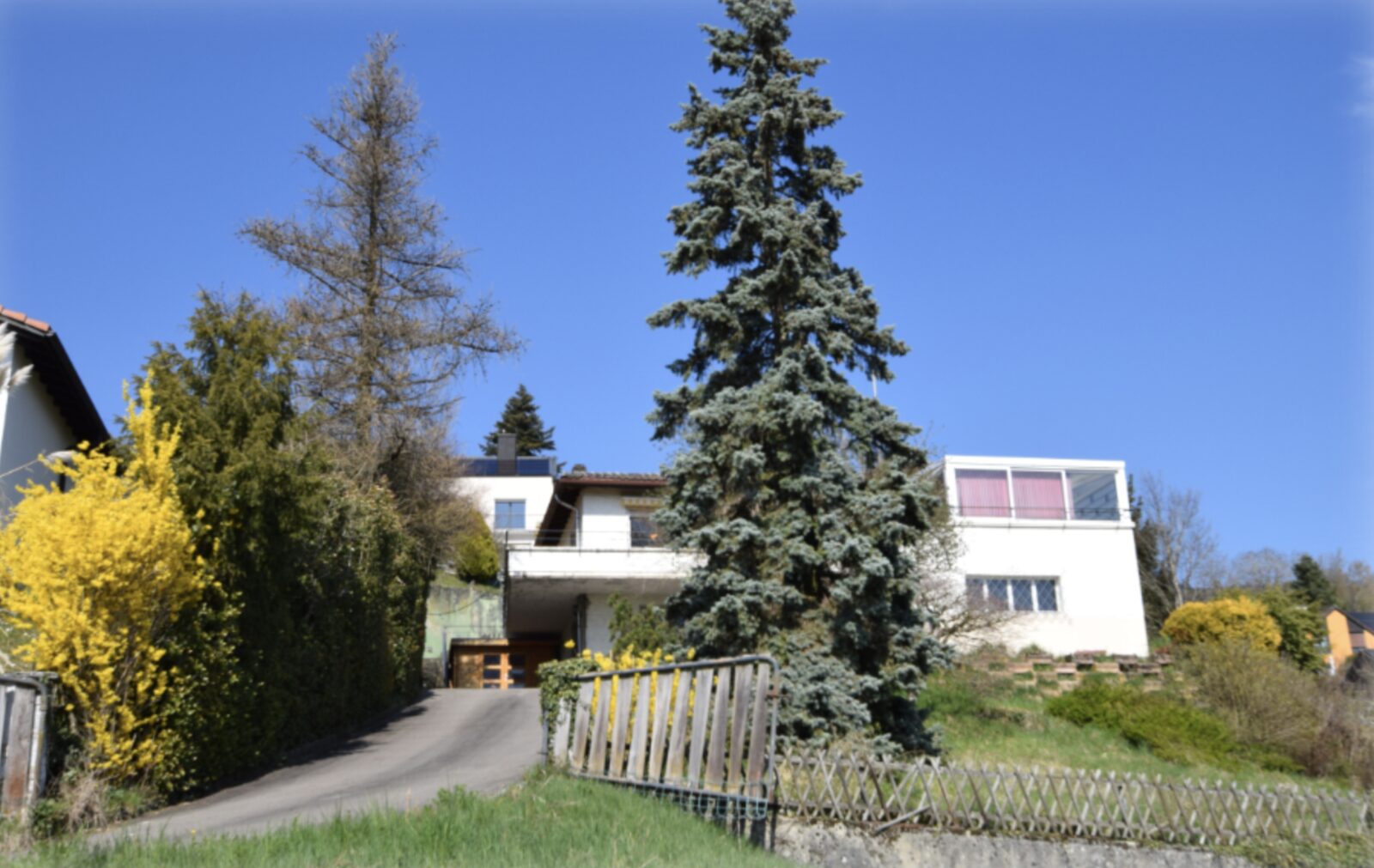 Villa et jardin arboré